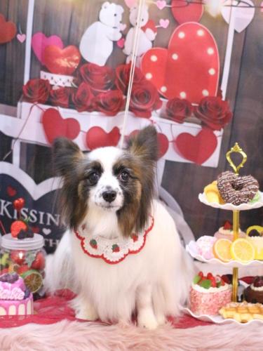 20250216マリーちゃん